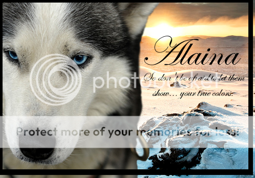 We call to the beauty of the wolves (Pick-and-play) Alaina-3